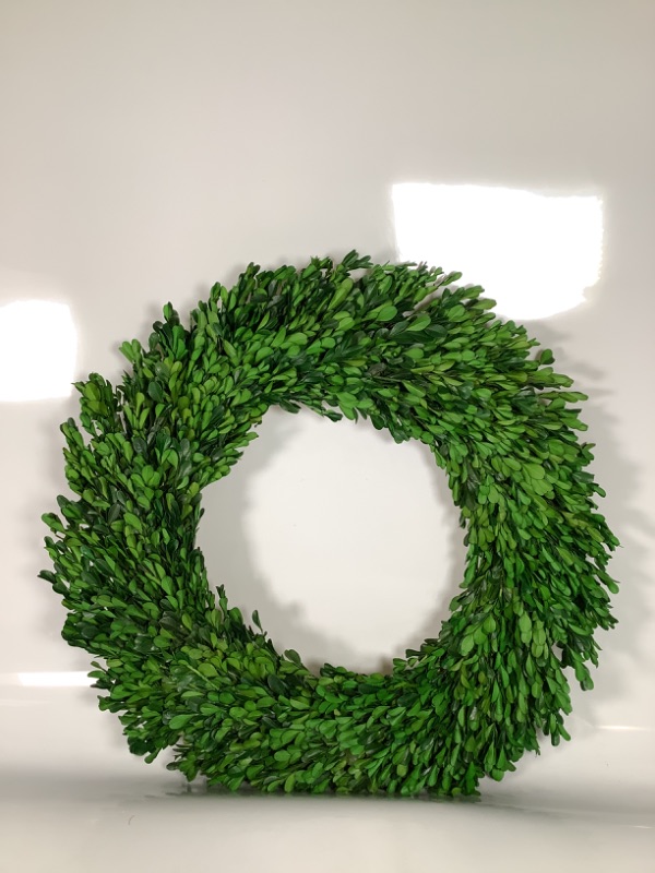 Photo 1 of 21.25" Preserved Boxwood Wreath - Threshold