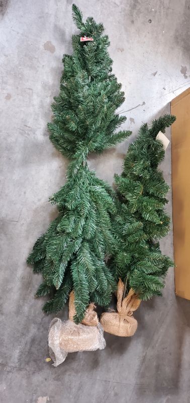 Photo 2 of WONDERSHOP- 2 PIECE ALBERTA SPRUCE UNLIT TREE