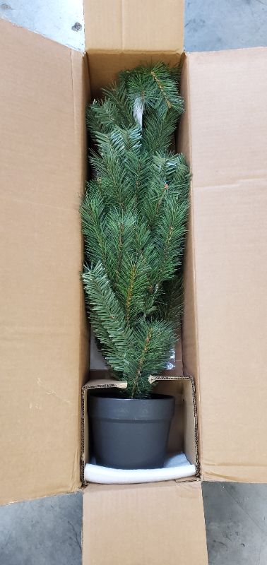 Photo 4 of 3ft Unlit Douglas Fir Potted Artificial Christmas Tree - Wondershop