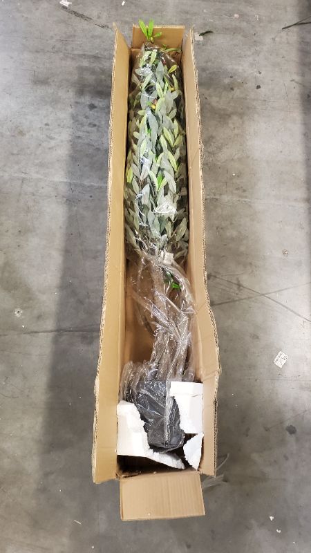 Photo 1 of Vickerman T161350 Olive Tree in Pot, 50"