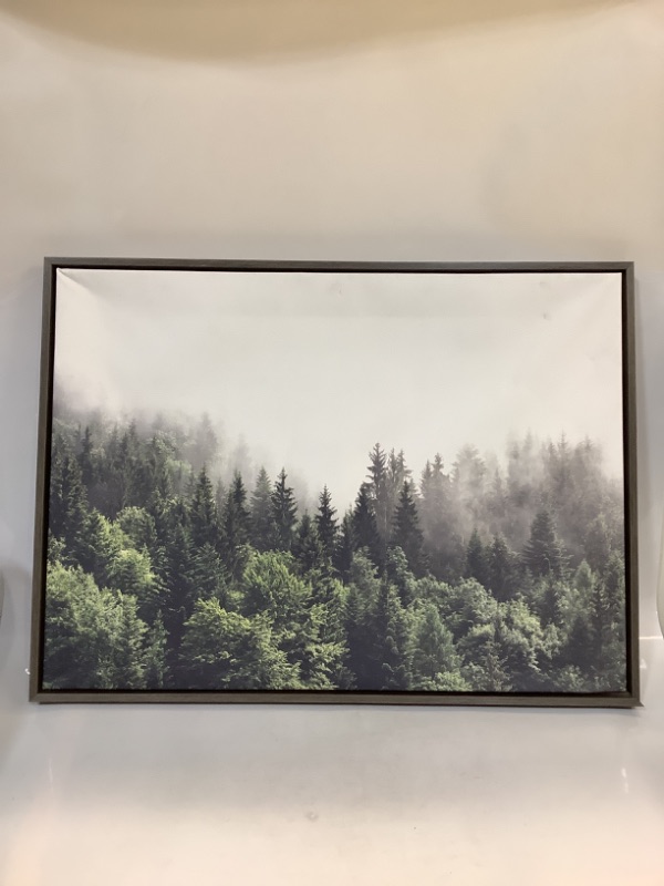 Photo 2 of 23" x 33" Sylvie Lush Green Forest on a Foggy Day Framed Canvas by the Creative Bunch Studio Brown - Kate & Laurel All Things Decor

