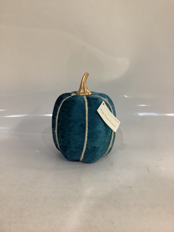 Photo 2 of Blue Velvet Pumpkin 