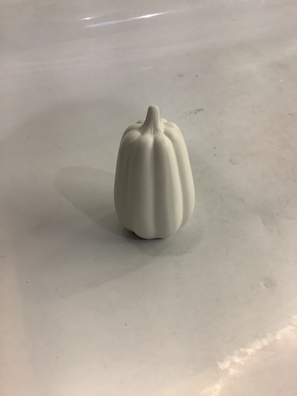 Photo 1 of Mini Ceramic Pumpkin Decor - White 