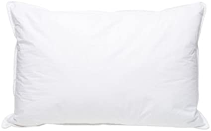 Photo 1 of Tiffany Twin Pack Extra Firm Density Queen Size Polyester Filling Pillow Set 