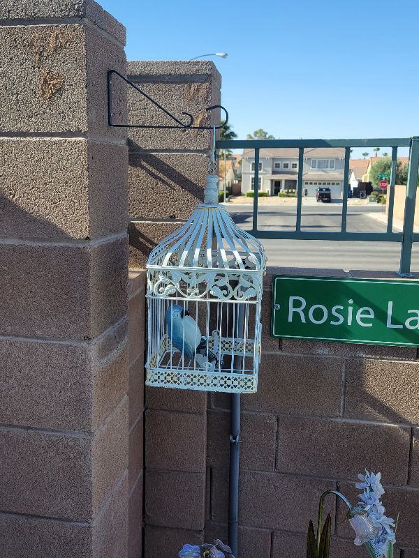 Photo 3 of BACKYARD DECOR FLOWERS, HEAVY STATUE, SUN WALL HANGING, AND BIRD CAGE