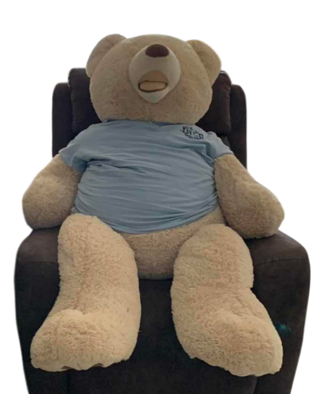 Photo 1 of BIG TEDDY BEAR 53” LONG X 25” WIDE
