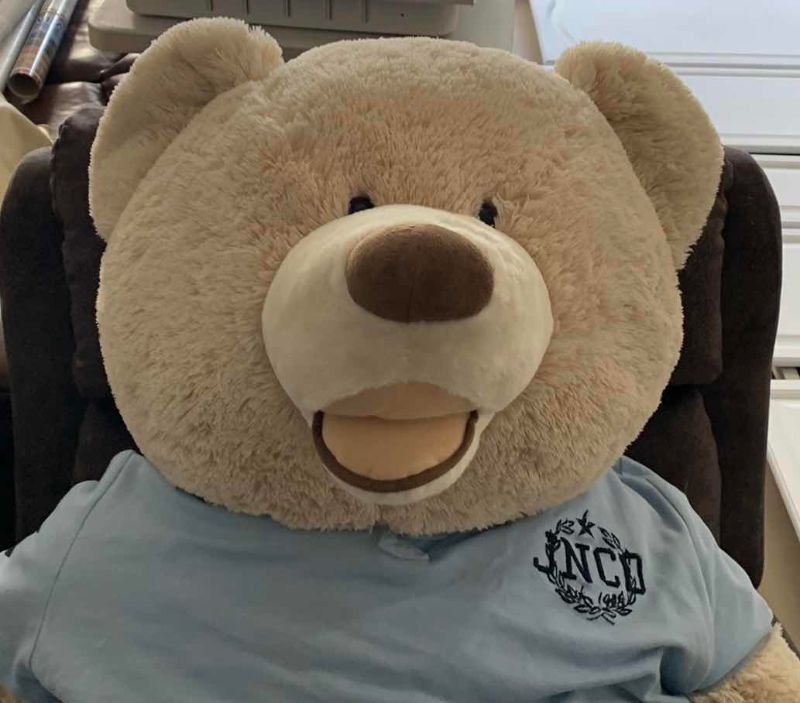 Photo 1 of BIG TEDDY BEAR 53” LONG X 25” WIDE