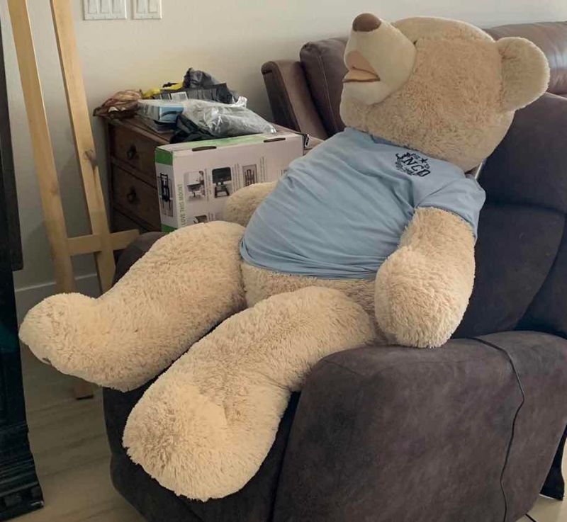 Photo 1 of BIG TEDDY BEAR 53” LONG X 25” WIDE