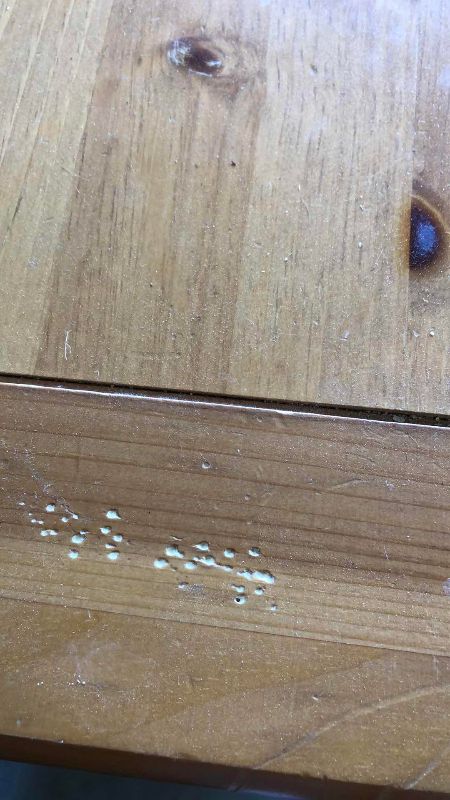 Photo 1 of END TABLE 26” X 17” H 25”