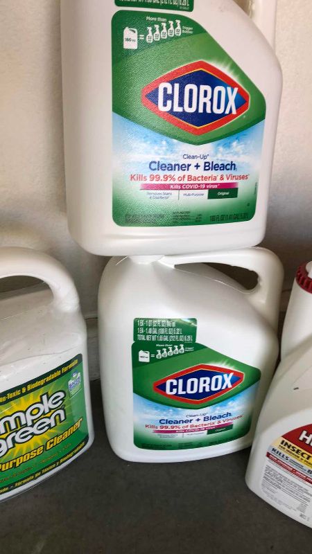 Photo 1 of CHEMICALS FOR THE HOUSE AND YARD