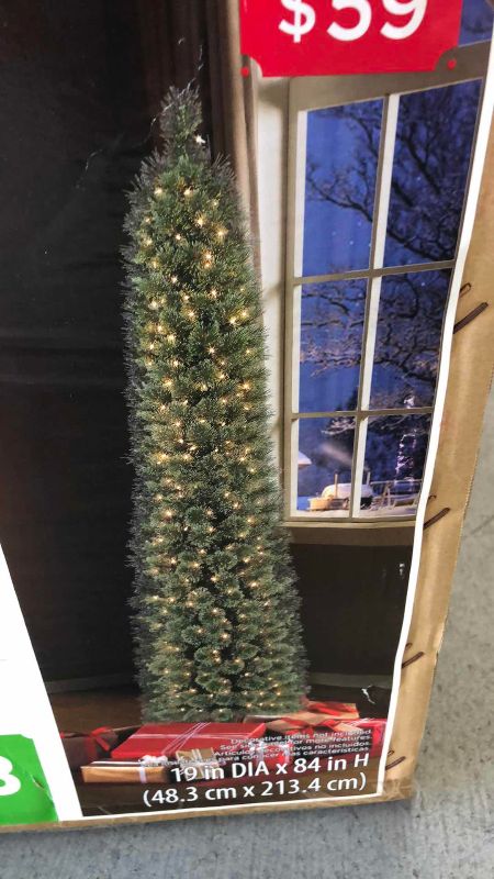 Photo 1 of SEVEN FOOT PRE-LIT SHELTON CASHMERE FIR WITH LIGHTS