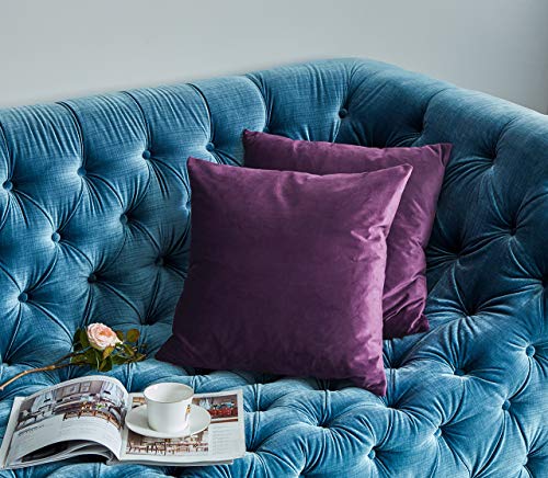 Photo 1 of COMFORTLAND 2 Pack Decorative Throw Pillow Covers, Square Soft Luxury Velvet Cushion Covers, 18x18 Solid Pillowcase Set for Sofa Couch Bed Chair Car Home Decor