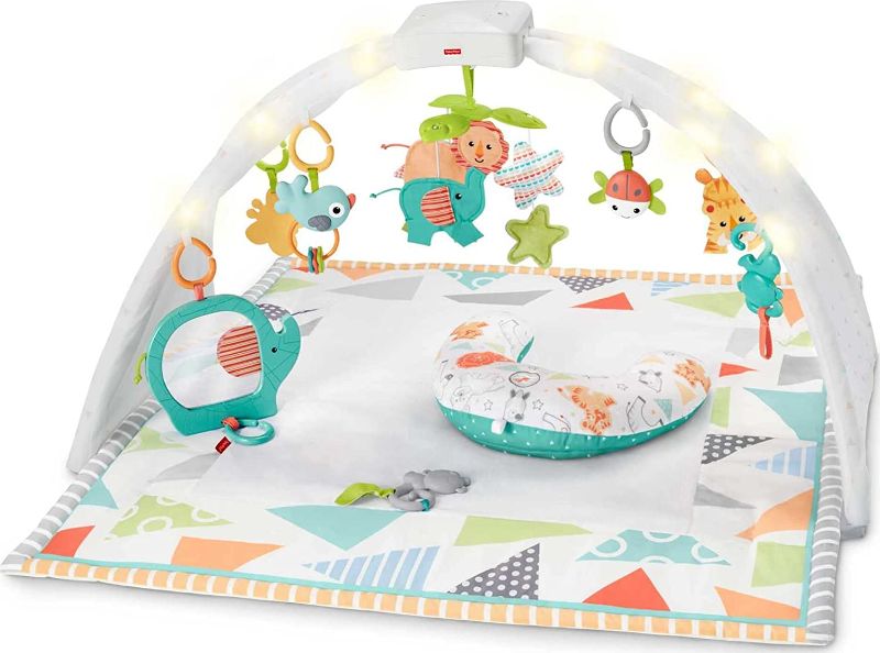 Photo 1 of Fisher-Price Safari Music & Lights Gym
