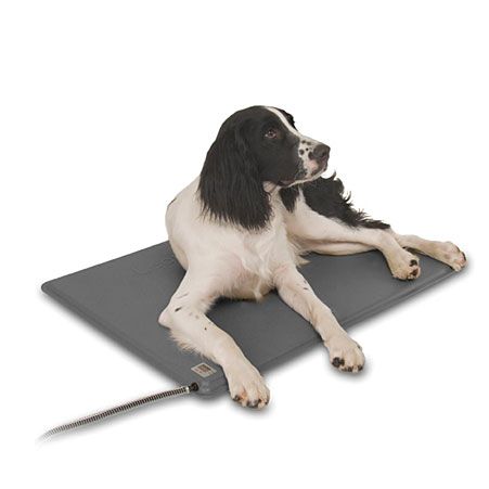 Photo 1 of Deluxe Lectro-Kennel Outdoor Heated Pad Size Medium