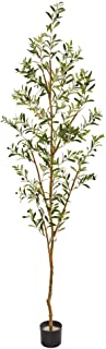 Photo 1 of (TRUNK BROKEN IN HALF)
Nearly Natural 82” Olive Artificial Silk Trees Green