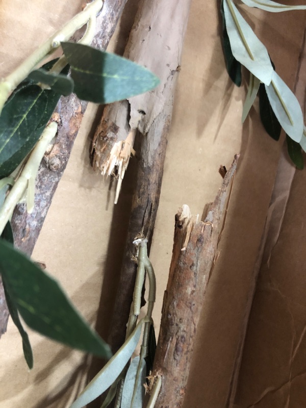 Photo 1 of (TRUNK BROKEN IN HALF)
Nearly Natural 82” Olive Artificial Silk Trees Green