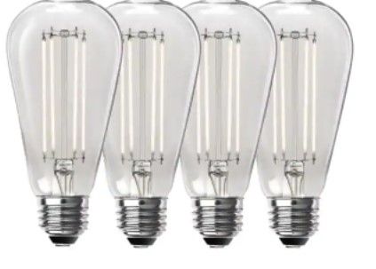 Photo 1 of 100-Watt Equivalent ST19 Dimmable Straight Filament Clear Glass Vintage Edison LED Light Bulb, Daylight (4-Pack)
