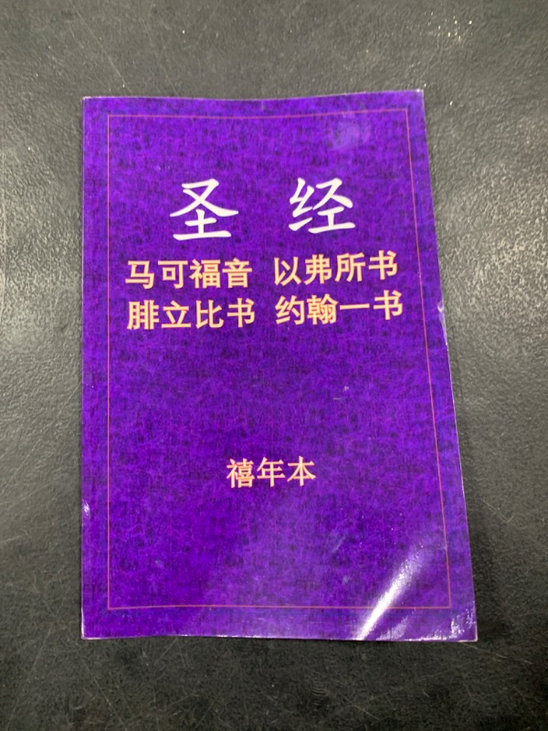 Photo 1 of ?? - ???? (Chinese Edition) Tapa blanda – 20 Abril 2020
