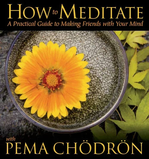 Photo 2 of 
How to Meditate with Pema Chödrön
A Practical Guide to Making Friends with Your Mind