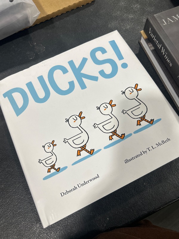 Photo 2 of Ducks! Board book – January 17, 2023
