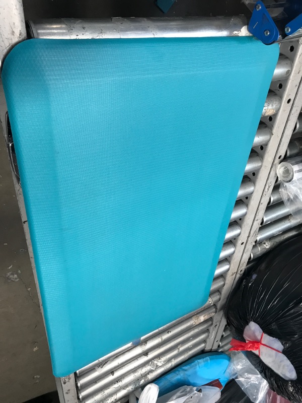 Photo 1 of 20 X 32 INCHES BLUE RUG 