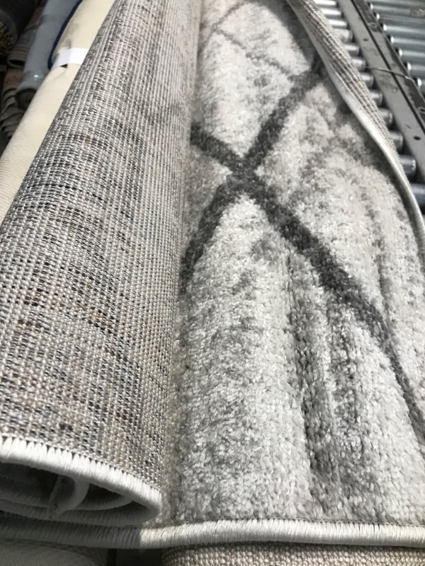 Photo 1 of 4' x 6' grey nuloom area rug 