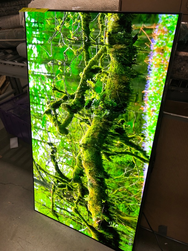 Photo 2 of SAMSUNG 55-Inch Class OLED 4K S95B Series Quantum HDR, Dolby Atmos, Object Tracking Sound, Laser Slim Design, Smart TV with Alexa Built-In (QN55S95BAFXZA, 2022 Model)
