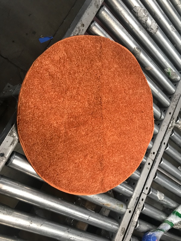 Photo 1 of 2ft round orange rug, view photos