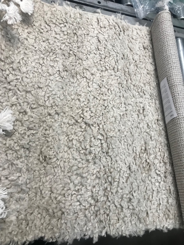 Photo 2 of **used**
2'x 3' beige rug, view photos 