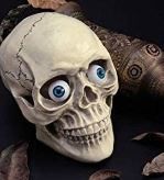 Photo 1 of *****STOCK PHOTO FOR REFERENCE ONLY**** Halloween Horror Props Halloween Eyes Scary Eyes Skull 