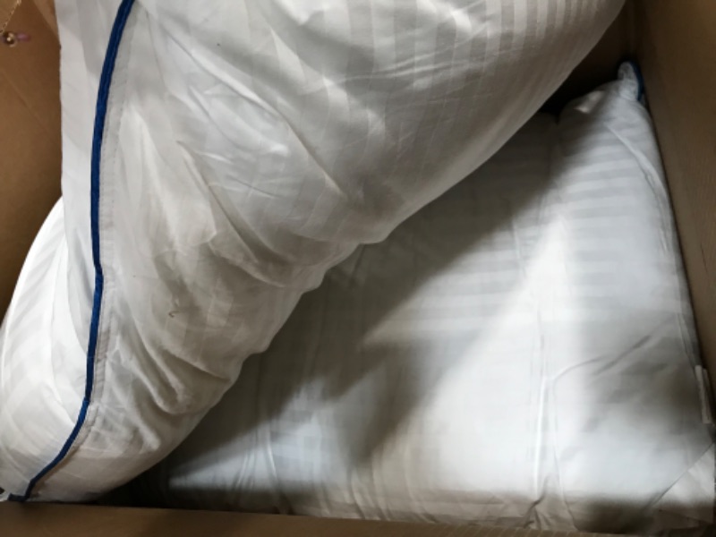 Photo 1 of 2 PACK WHITE PILLOWS