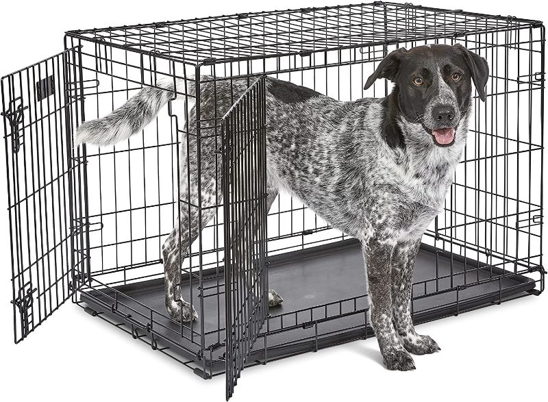 Photo 1 of MidWest Homes for Pets Newly Enhanced Single & Double Door iCrate Dog Crate, Includes Leak-Proof Pan, Floor Protecting Feet, Divider Panel & New Patented