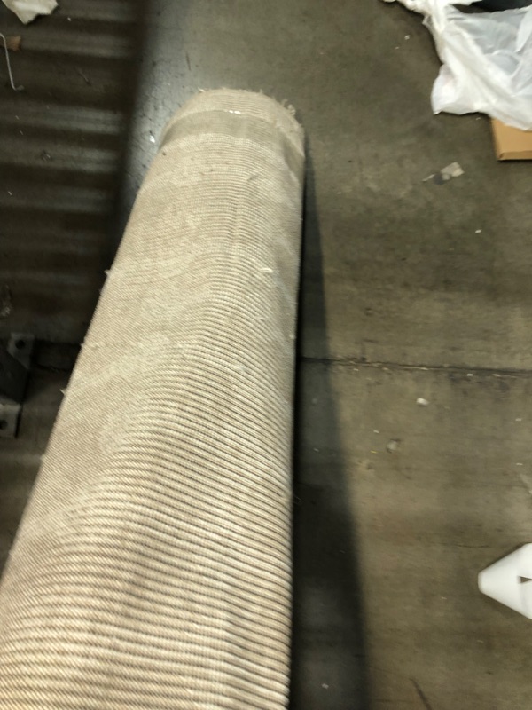 Photo 1 of 7'10" x 10'3" Surya Urban Shag USG-2303 Area Rug