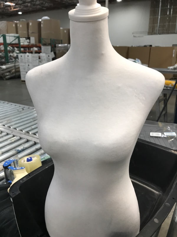 Photo 1 of Female mannequin - Unknown brand 
