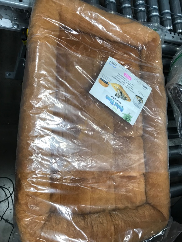 Photo 1 of 29X19 DOG BED
