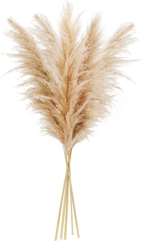 Photo 1 of  Large Stems, 48-inch Tall - Fluffy Plumes Floral Boho Home Décor – Natural Dried Flower Arrangements - Phragmites Communis Plant Decoration for Floor Vase Kitchen Wedding