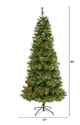 Photo 1 of 7' White Mountain Pine Artificial Christmas Tree with 400 Clear LED Lights and Pine Cones
