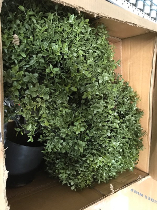 Photo 2 of 2'T 19''D Topiaries Trees Artificial Outdoors 2 Pack Fake Boxwood Bushes Outside Potted Tree 2 L Bush