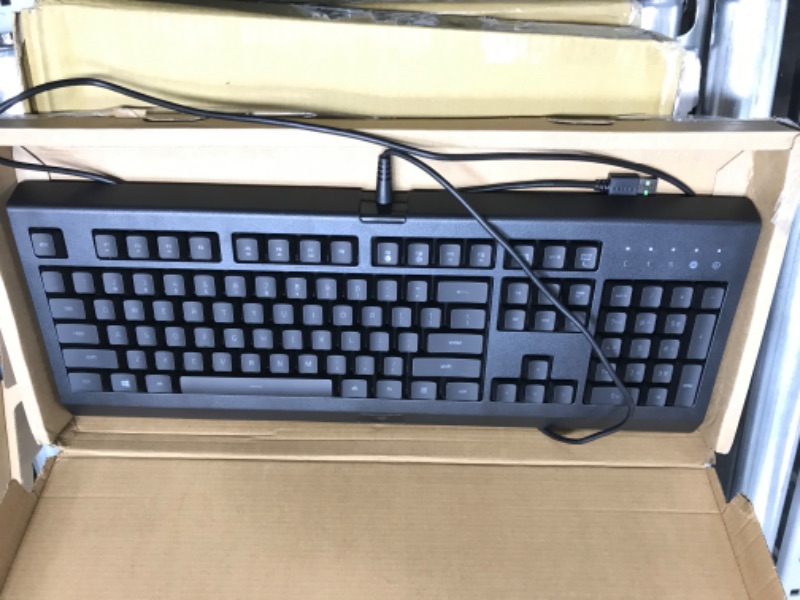 Photo 2 of Razer Cynosa Lite Gaming Keyboard: 