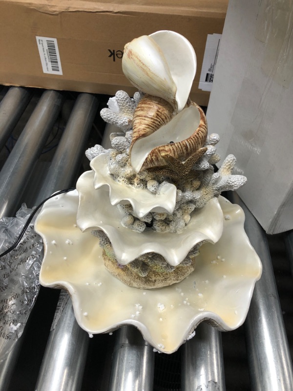 Photo 3 of 10.5" H Coral Reef Shell Fountain Indoor Fountain with LED Lights and Adjustable Motor Pump (Power Cord Attached) (Resin)