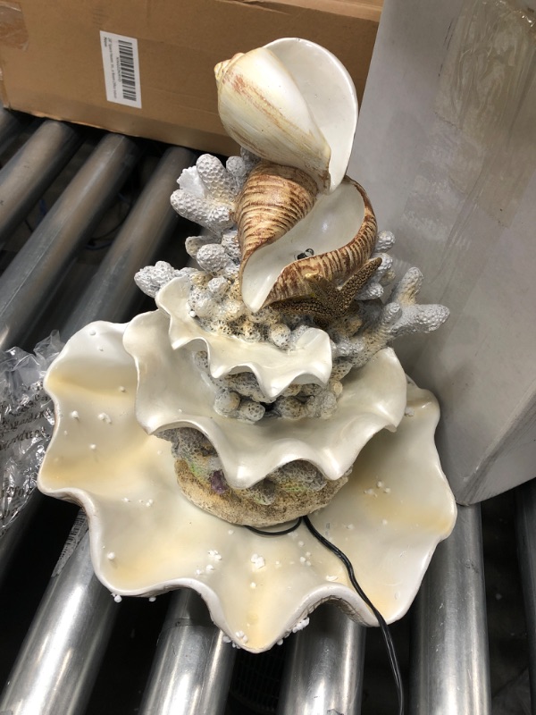 Photo 2 of 10.5" H Coral Reef Shell Fountain Indoor Fountain with LED Lights and Adjustable Motor Pump (Power Cord Attached) (Resin)