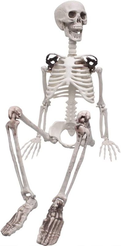 Photo 1 of 3ft/90cm Halloween Full Body Skeleton Props Realistic Human Bones with Movable Joints for Halloween Party Decoration
