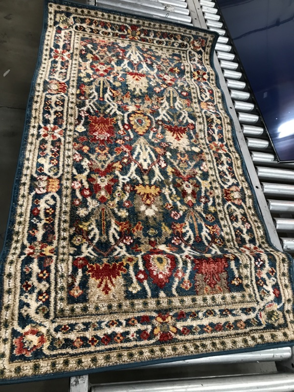 Photo 1 of 2'7" x 5' Suyra Floral Rug