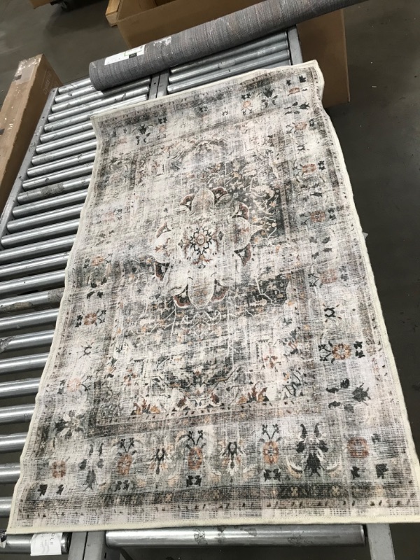 Photo 1 of 3' x 5' Ruggable Rug