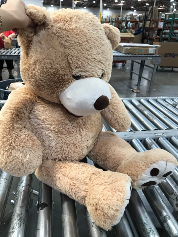 Photo 1 of 3ft brown teddy bear