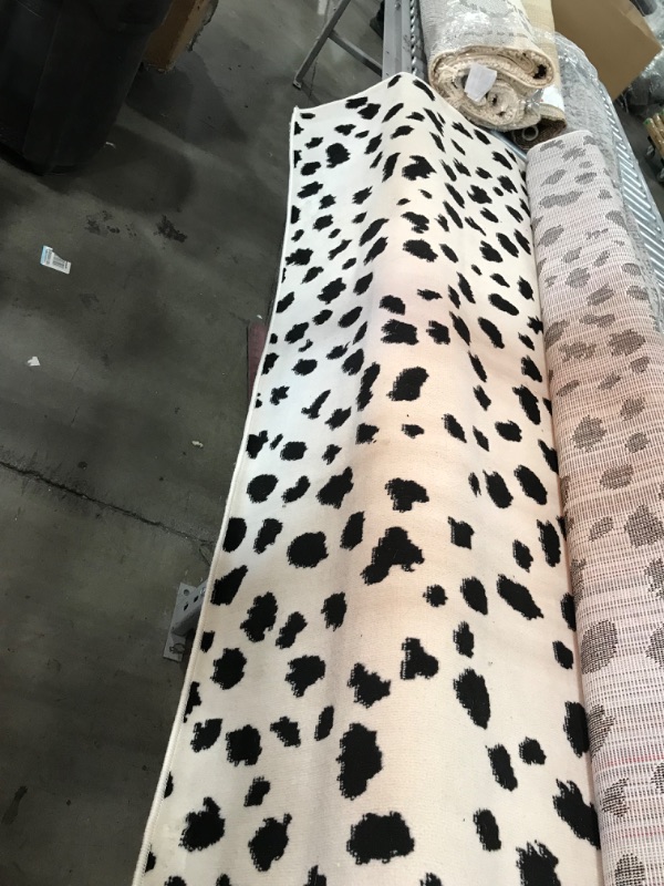 Photo 1 of **used, dirty**
8' 8" x 6' 7"  black & white spotted rug, view photos for detail!!!