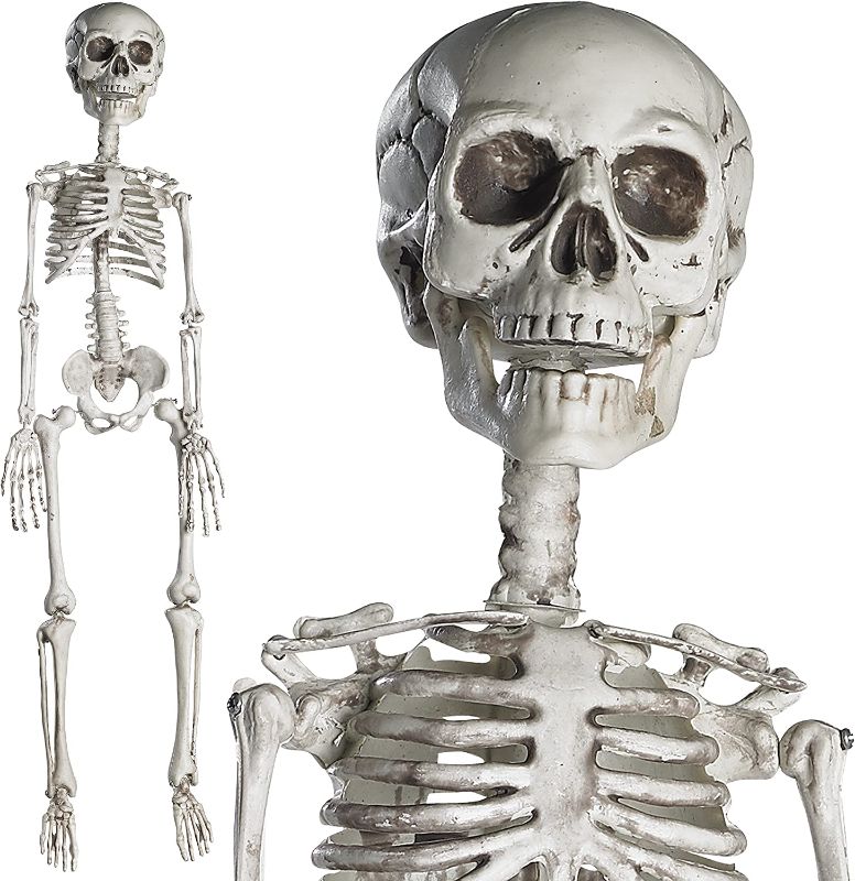 Photo 1 of 
PREXTEX  Halloween Skeleton for Halloween Décor & Day of The Dead Décor Plastic Halloween Skeleton with Movable Joints for Best Halloween Decoration - Indoor & Outdoor