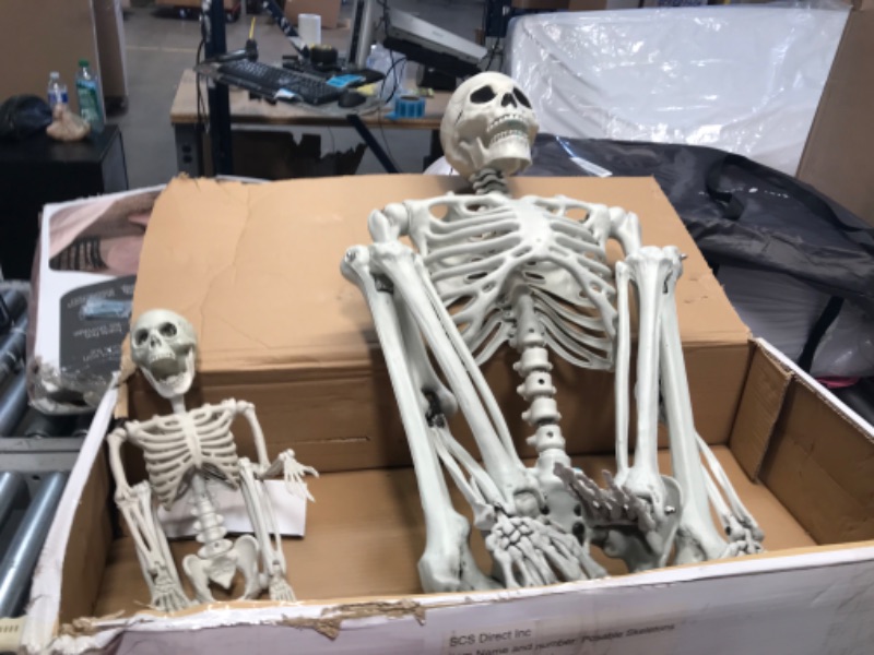 Photo 2 of Posable Life Size Human Skeleton Family Set of 4 - 2 Adult (5' 2")& 2 Children (1' 11")- Halloween Prop Indoor Outdoor Decorations w Bending Articulated Bones - Spooky Haunted Party Favors Lawn Décor