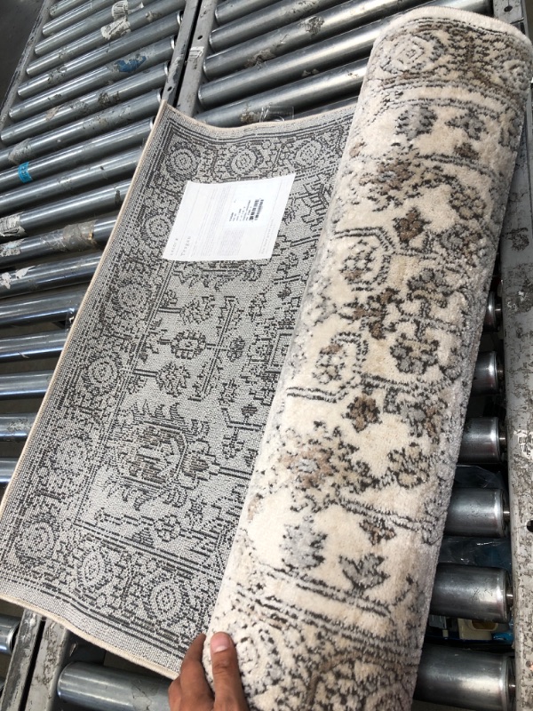 Photo 1 of Loloi II Teagan Collection TEA-03 Ivory / Sand, Traditional 2'-8" x 10'-6" Runner Ivory / Sand 2 ft 8 in x 10 ft 6 in Oriental