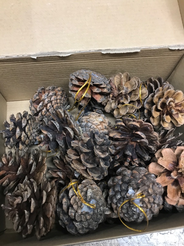 Photo 1 of JOHOUSE 24PCS PineCones, Natural PineCones Package, PineCones Ornaments for Christmas Autumn and Winter Crafts Decorating, 1.9-2.5inches